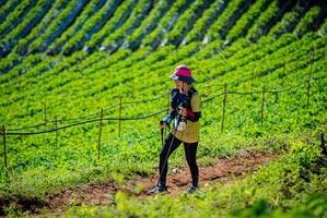 BIB: 
                            <button type="button" onclick="openModal(19161920)" class="btn btn-primary btn-sm float-right btn-popup" data-toggle="modal" data-target=".modal-high-quality">
                        <i class="fas fa-shopping-cart"></i> Add to Cart
                    </button>
                                            <button type="button" onclick="isThisMe(19161920, true)" class="btn btn-success btn-sm float-right btn-popup btn-isme hidden" data-toggle="tooltip" data-placement="bottom" title="นี่คือรูปของคุณใช่ไหม คลิกที่นี่เพื่อเอาเข้าอัลบั้ม">
                        <i class="fas fa-plus"></i> Add to album
                    </button>
                    <button type="button" onclick="isThisMe(19161920, false)" class="btn btn-warning btn-sm float-right btn-popup btn-isnotme hidden">
                        <i class="fas fa-ban"></i> Remove from album
                    </button>